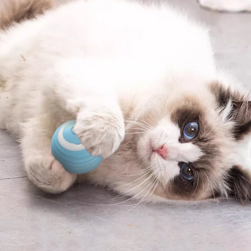 Bola Inteligente para Gatos Elétrica e Regarregável